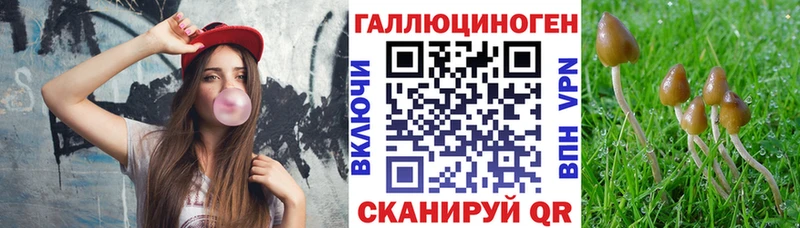Галлюциногенные грибы мицелий  Электрогорск 